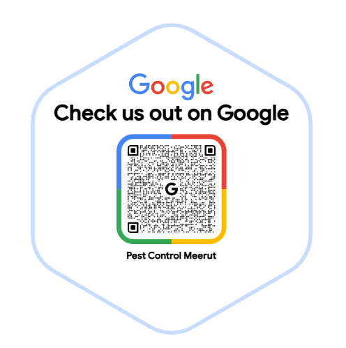 Pest Control Meerut GMB QR