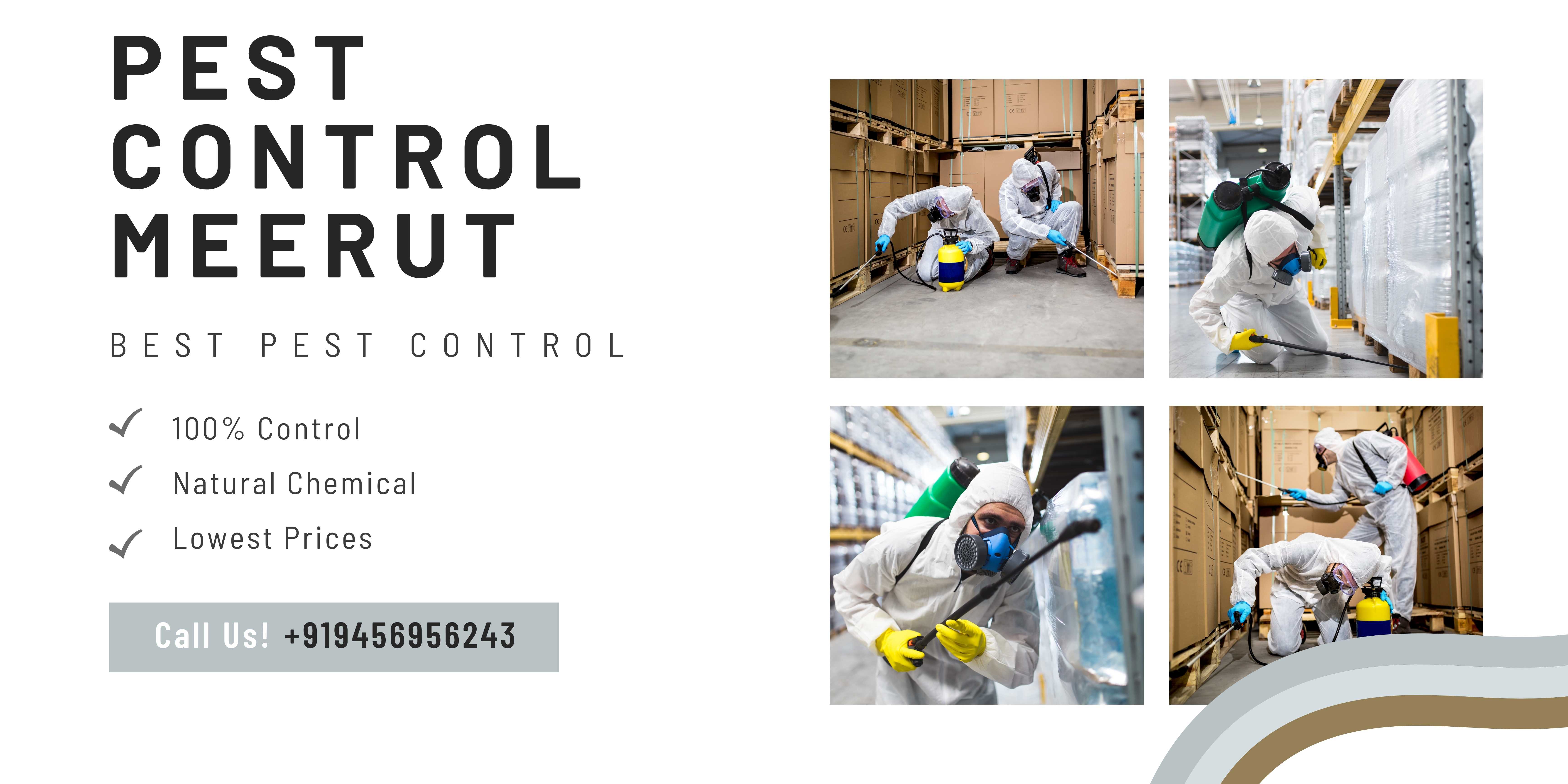 We deliver the best pest control services across Meerut, with expert technical advice and professional solutions.